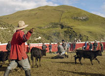 Rodeo Ecuador Yanahurco